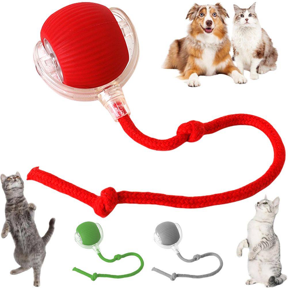 Pounce Bot  - The 2026 Ultimate Smart Interactive Pet Ball (Upgraded Edition)